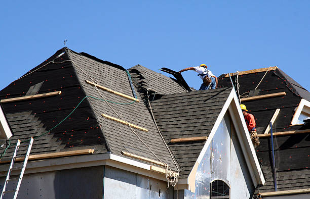 Best Roof Gutter Cleaning  in Milford, NE