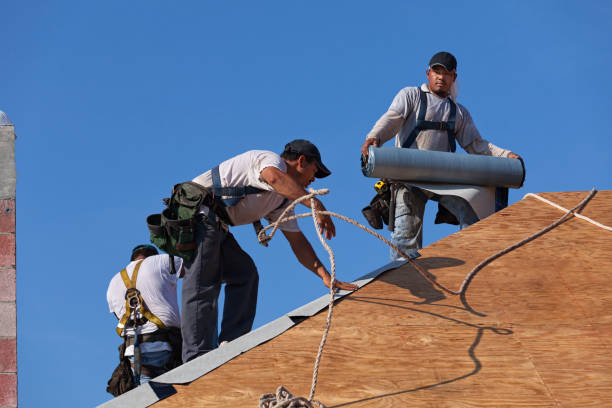 Best Local Roofing Companies  in Milford, NE